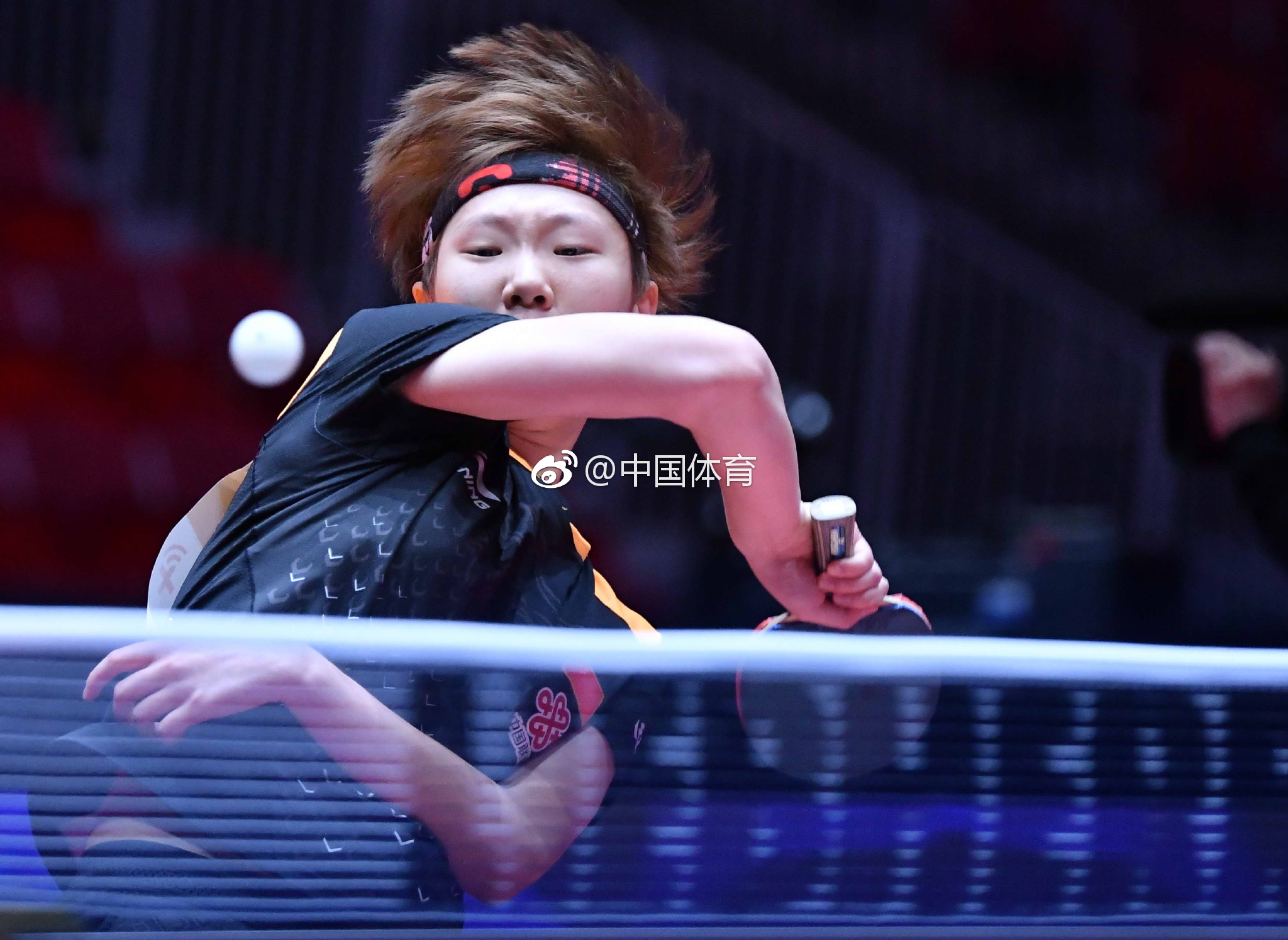 包含瑞典乒乓球队完胜奥地利乒乓球队，波尔完成帽子戏法的词条