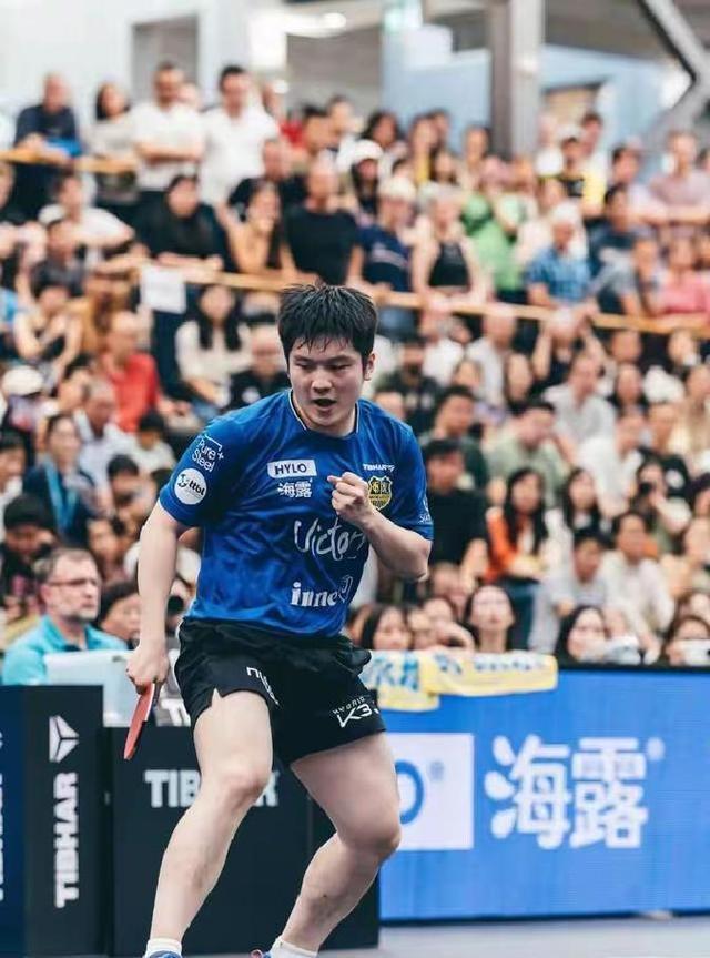 关于德国队逆转奥地利队，樊振东惊艳四座的信息