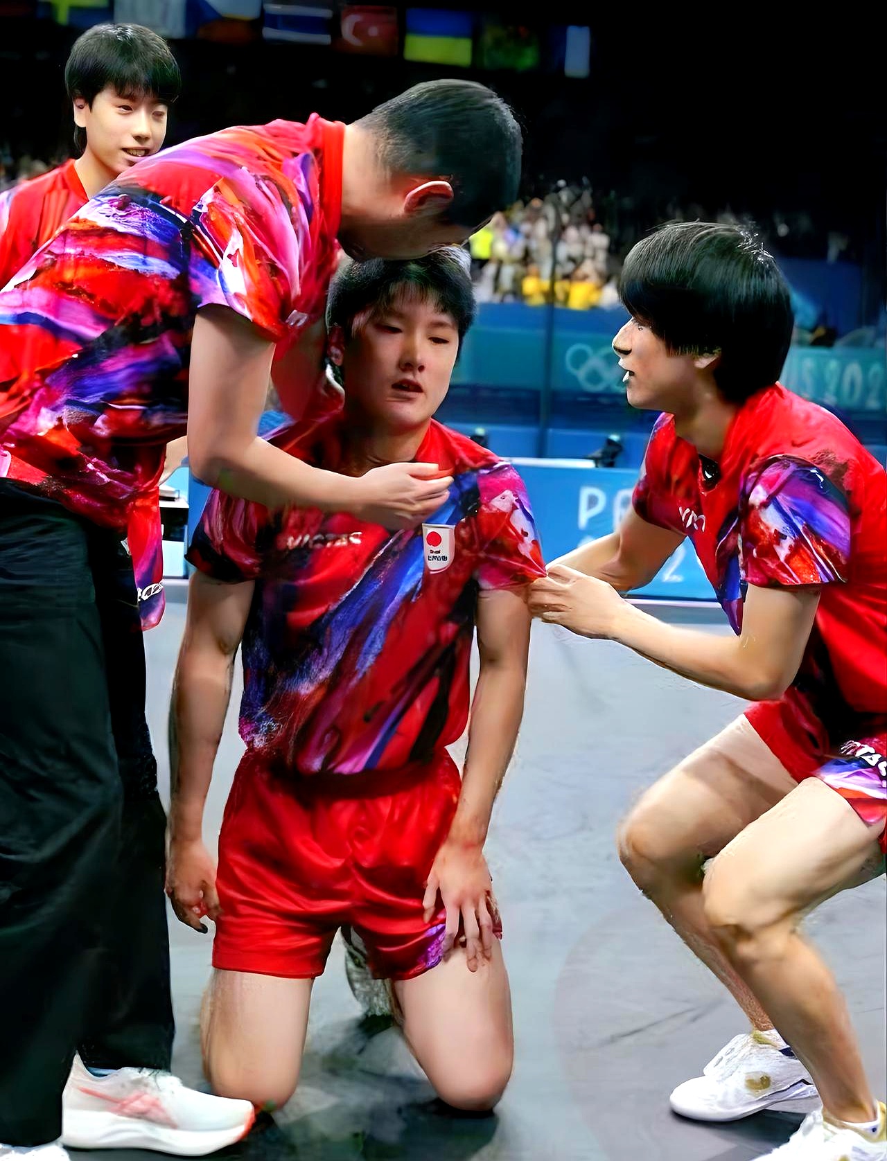 包含瑞典乒乓球队翻盘法国乒乓球队，张本智和高光表现的词条