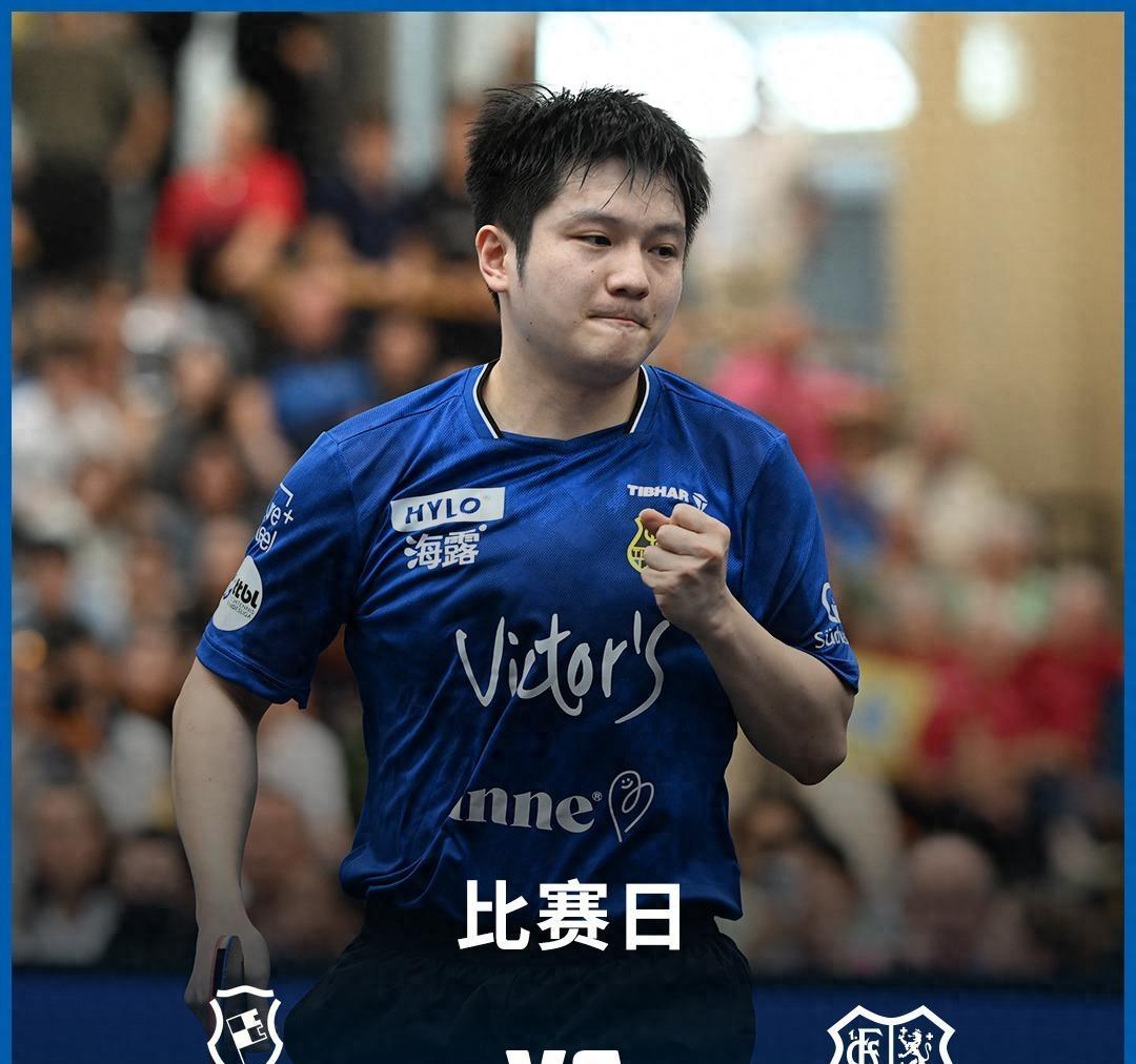 葡萄牙队横扫德国队，樊振东关键制胜的简单介绍