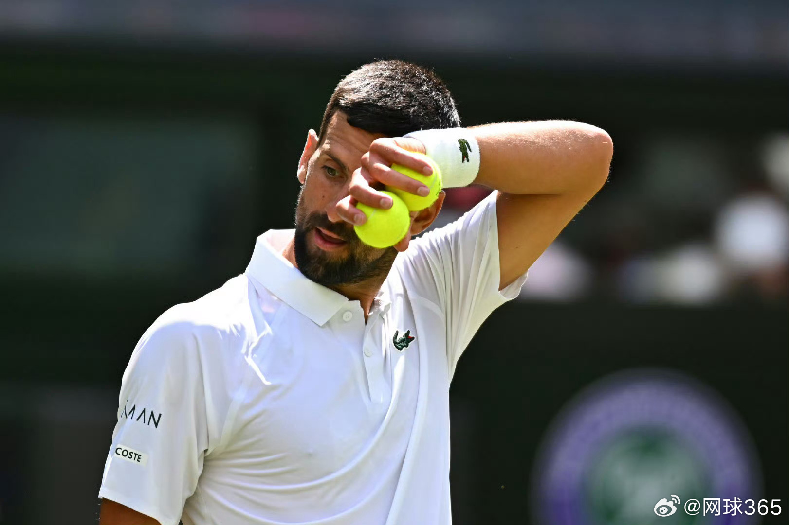 PG游戏下载-美网绝杀温网，德约科维奇统治全场