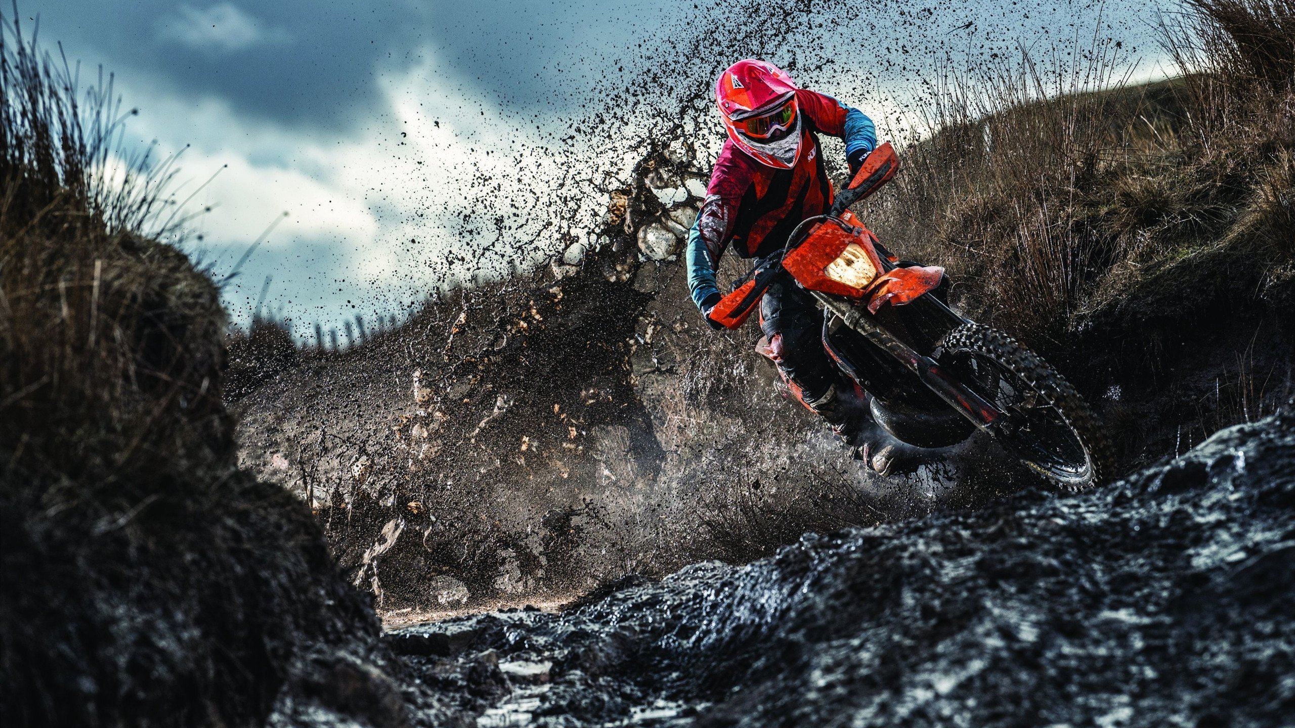 北欧风暴席卷绿茵场，乒坛传奇跨界领航—瑞典队力克葡萄牙，张继科带队书写体育跨界佳话