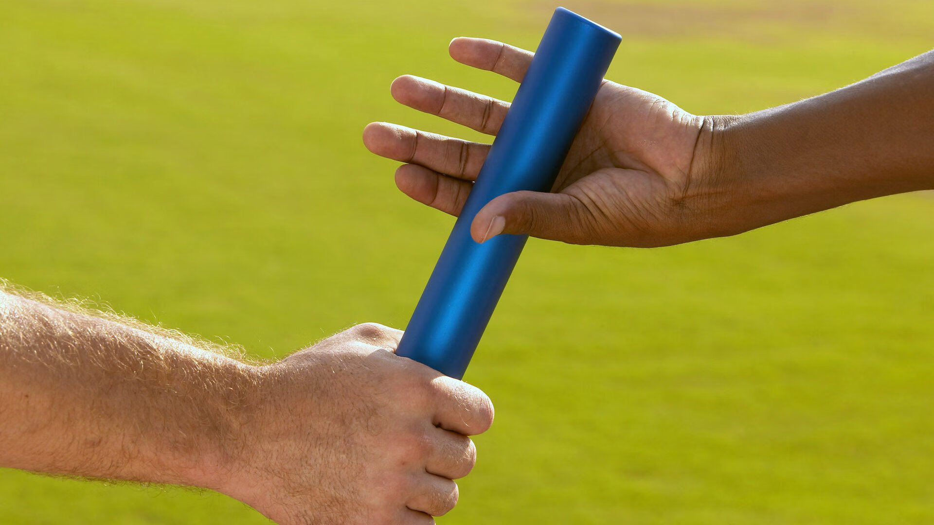 霍勒迪的无声交响曲，当节奏成为雄鹿最致命的武器